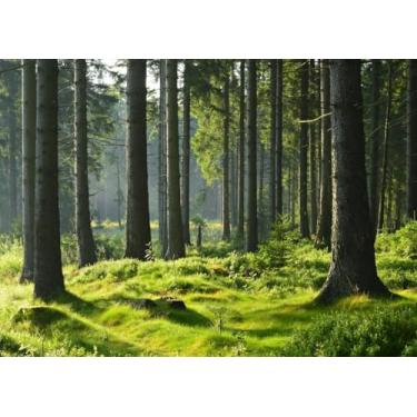 Imagem de CORFOTO Tecido natureza floresta tema fotografia árvores pretas musgo grama verde primavera estação paisagem fundo para bebê recém-nascido festa de aniversário foto banner sessão de fotos adereços de