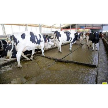 Imagem de Biomanure Produto Para Esterqueira Sem Bactérias 10kg - BIOFOSSA