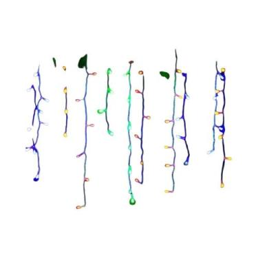 Imagem de Guirlanda De Natal Externa Com Luzes LED Em Cascata Para Decoração De 