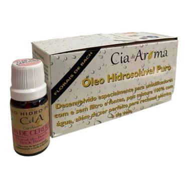 Imagem de Kit Box 10 Óleos Hidrossolúvel 10Ml - Escolha O Seu Aroma