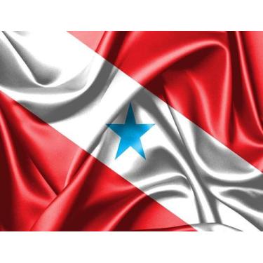 Imagem de Bandeira do Estado do Pará 80cmx140cm Tecido Oxford 100% Poliéster - P