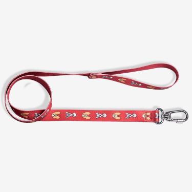 Imagem de Guia Zc Pets A Dama E O Vagabundo Disney M