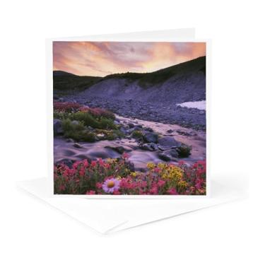 Imagem de Cartão de felicitações - Washington, Mt. Rainier NP, Wildflowers - US48 GLU0113 - Gary Luhm - Washington