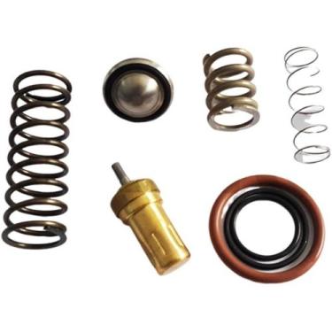 Imagem de Reparo Válvula Termostática Similar para Chicago CPM5,5 CAI - Arcompri