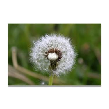 Imagem de Arte de parede pintura em tela dente-de-leão com sementes perdidas impressão de pôster para sala de estar quarto cozinha escritório 75 x 50 cm