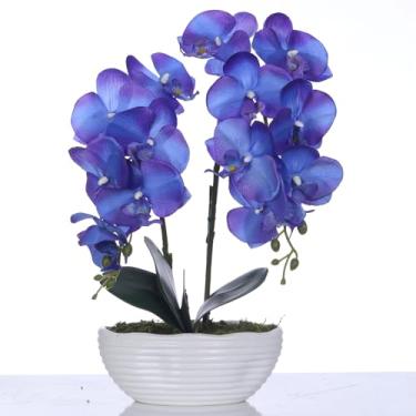 Imagem de YSZL Grande planta de orquídea artificial em vaso, arranjo de flores de seda com vaso de cerâmica, azul roxo
