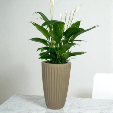 Imagem de Vaso decorativo para plantas coluna Romana em polietileno 33x23 (Bege)