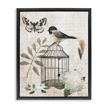 Imagem de Stupell Industries Arte de parede em tela flutuante com moldura preta floral de pássaro vintage Menagerie por Nan, 53 x 43 cm