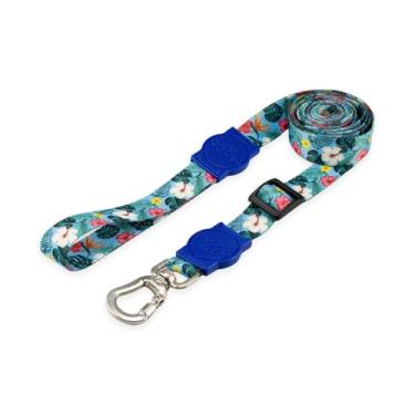 Imagem de Mood Pet Coleira Guia Retrátil Para Cães Cachorro Adestramento Passeio Porte Grande Médio Pequeno (Sunny Blue, PP)