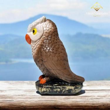 Imagem de Coruja Decorativa Espanta Pombos  Maritaca Decoração Jardim Envernizad