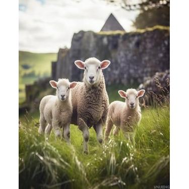 Imagem de VNUIEHG Descubra a alegria de pintar dígitos, libere seu talento, Irlanda, ovelhas, cordeiros, 40 x 50 cm, sem moldura