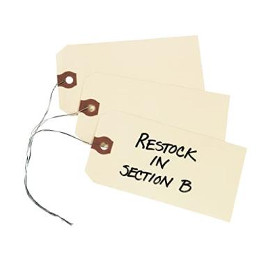 Imagem de AVERY Etiquetas de envio com fio duplo 12605, 13 peças, 12 3/4 x 2 3/8, Manila, caixa com 1000