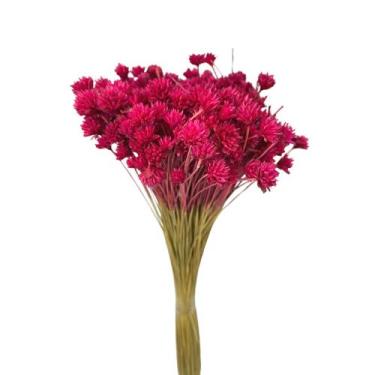 Imagem de Buque Flor Espeta Nariz Desidratado Arranjos Pinterest Decor - Inspira