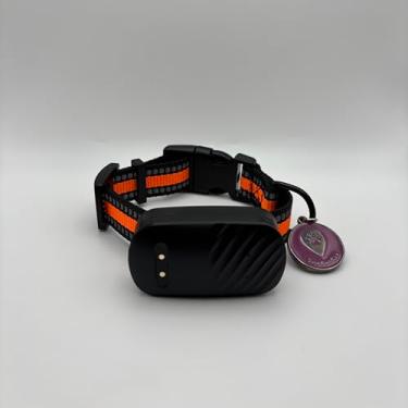 Imagem de The Pet GPS Coleira Rastreadora GPS para Cães e Gatos, À Prova D'água, Fita Reflexiva, Monitoramento em Tempo Real, Alarme Sonoro e Cerca Virtual (Gato)