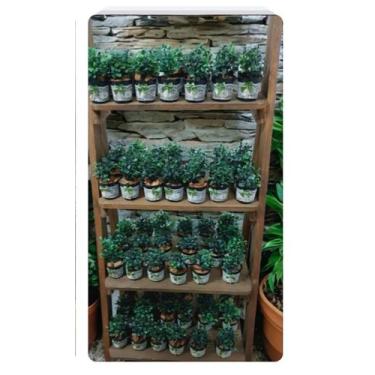 Imagem de Buquê de flores artificial - Mdm, 2kg, 50ml
