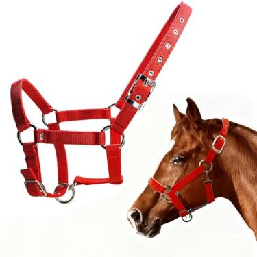 Imagem de KUWAN Cabresto ajustável para cavalos com correias de PP, cabides de cavalo duráveis com fivela de cinto prateada, ilhós de metal, equipamento de treinamento de cavalos para evitar fricção para