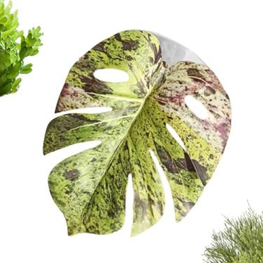 Imagem de Brinquedo de Folha para Aranha Saltadora - Decoração Realista em Forma de Folha com - Decorações Para Gaiola De Aranha Saltadora - para Estufa Plantas Terrário Tapete de Cultivo Hidropônico