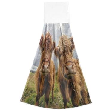 Imagem de Joitme Toalhas de cozinha de mão com laço para pendurar, lindas vacas Highland Cows, conjunto de 2, decorações de cozinha fofas ultra absorventes, 46 x 35 cm