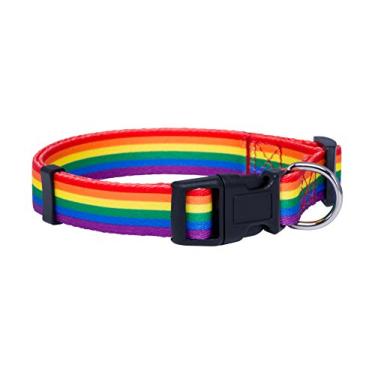 Imagem de Coleira de cachorro com bandeira de arco-íris nativa para filhotes (pequena)