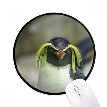Imagem de Tapete de mouse para computador para mesa de escritório e escritório com imagem de pinguim antártico natureza ciência do mar tapete redondo para computador