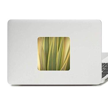 Imagem de Adesivo de vinil para laptop com imagem natural de folhas de plantas, decoração de policarbonato