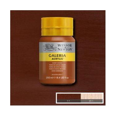 Imagem de Tinta Acrílica Winsor & Newton Galeria 250ml 074 Burnt Sienna