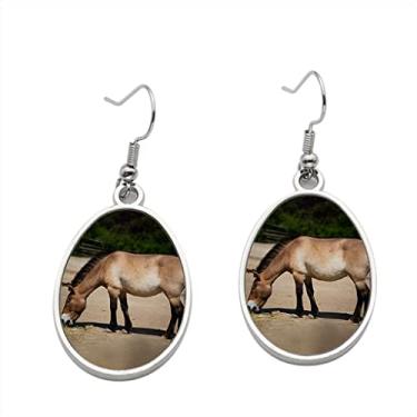 Imagem de Brinco de cavalo Przewalskii in Prague Zoológico - Brincos pendentes para meninas - Presente de festa de aniversário dos namorados