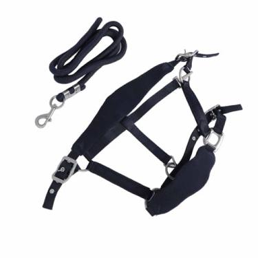 Imagem de Conjunto de Trela de Cabresto de Cavalo, Material de Poliéster Tamanho Ajustável 2m Trela Evita Fricção Cabresto de Treinamento de Cavalo Com Acolchoamento Acolchoado (Médio 4,75L)
