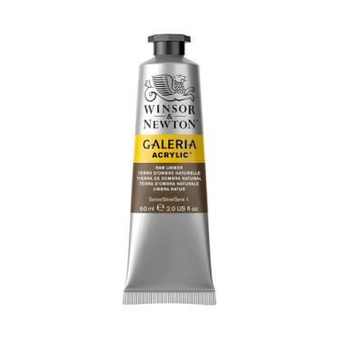 Imagem de Tinta Acrilica Galeria 60ml Winsor & Newton Escolha a Cor, RAW UMBER 5
