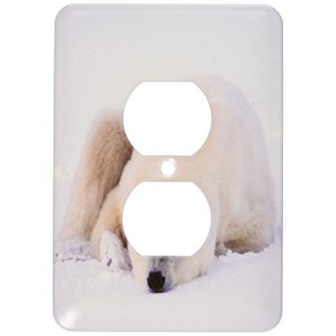 Imagem de 3dRose Lsp_45687_6 Urso polar dormindo Churchill, Canadá 2 tampas