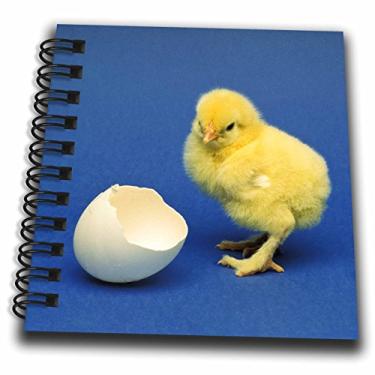 Imagem de 3dRose db_83723_3 Baby Chick, bird-NA02 DFR0041-David R. Frazier-Mini bloco de notas, 10 x 10 cm