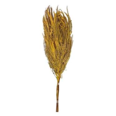 Imagem de uque Samambaia Crespa Desidratado - Inspira Flora, Amarelo