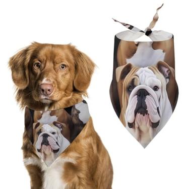 Imagem de Cachecol triângulo de poliéster estampado English Bulldogs - Tamanho único (70 x 30 cm)