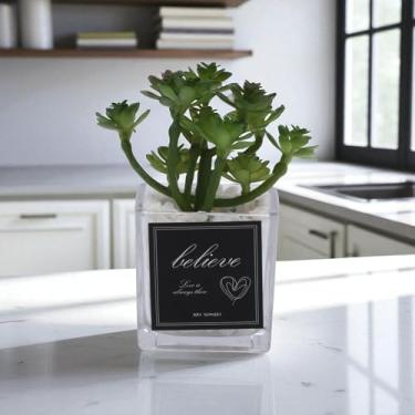 Imagem de Generic 1 peça de plantas falsas vidro seixos suculentas exibição plástico verde 5 x 5 x 15 cm