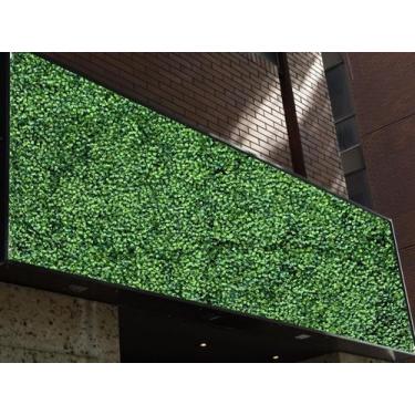 Imagem de 6 Placas Artificiais com folhagens Premium UV para Jardim Vertical per