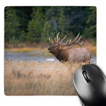 Imagem de Rosa 3D "Canada Alberta. Rocky Mountain Alk Cornetins durante o outono Rut. Jasper Np." Mouse pad com acabamento fosco - 20 x 20 cm - mp_206386_1