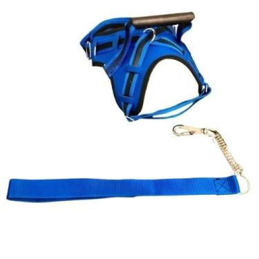 Imagem de Coleira peitoral para cachorro reforçada com nome na guia cachorro de pequeno mdio e grande porte para passeios com mola(AZUL,P)