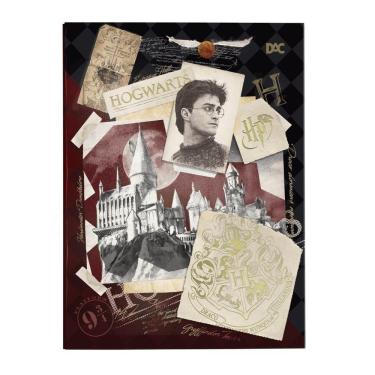 Imagem de Pasta Catálogo Ofício Com Lombo Ajustável + 10 Envelopes Dac Harry Potter