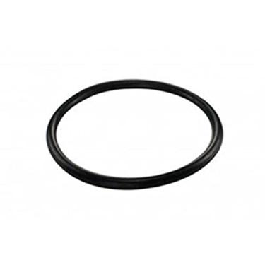 Imagem de Junta Bomba Combustível BLAZER S10 (DS1452)