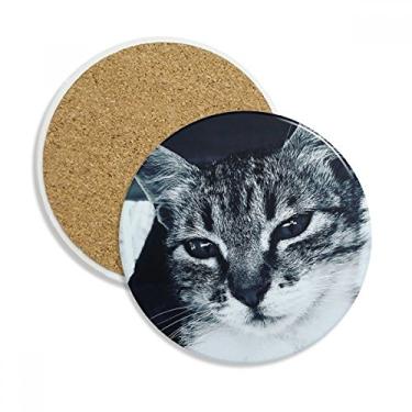 Imagem de Animal Cool Grey Cat Fotografia Porta-copos Caneca Caneca de proteção de mesa Pedra absorvente
