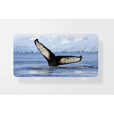 Imagem de Capa para placa de carro com cauda de baleia jubarte – Capa para placa de carro – Capa para moldura da placa de carro 15 x 30 cm