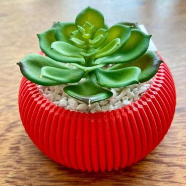 Imagem de Vaso Decorativo Cachepô suculentas  Plástico  Flores artificiais - Gen