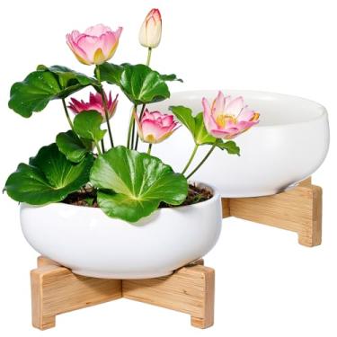 Imagem de Baderke 2 peças de vaso de lótus com base de cerâmica hidropônica tigela de lírio d'água para plantar plantas aquáticas e internas decoração de bacia de cerâmica doméstica (branca)