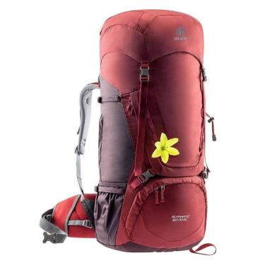 Imagem de Mochila Cargueira Deuter Alpamayo 60+10L Trekking Camping