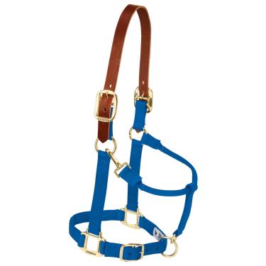 Imagem de Weaver Leather Halter ajustável de nylon para cavalo, azul, descamado/pônei
