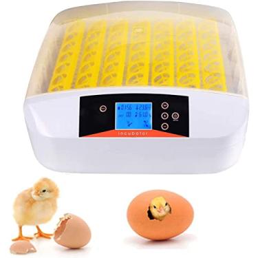 Imagem de U5GAAALPPQ9 Incubadora de ovos 56 ovos incubadora automática de ovos incubadora doméstica automática de ovos com controle de temperatura para galinhas, patos, pássaros.
