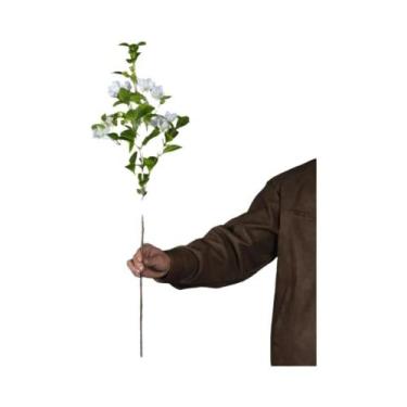 Imagem de Árvore De Palmeira Artificial De 75cm, Ramo Falso De Mirtilo Tropical 