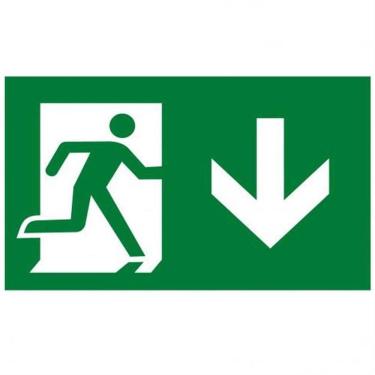 Imagem de Placa de Pvc Fotoluminescente Autoadesiva 15x30 Seta Reta Para Baixo 315 Ao Sinalize Placa Pvc