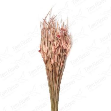 Imagem de Capim Estrela Rosa Desidratado Buque Flores Secas - Tem Flores