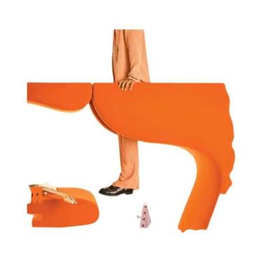 Imagem de Flor Menino Tyler Macaco Ártico Tame Impala Álbum De Música Cartaz Lon